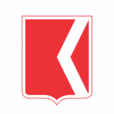 ნიკა ცხვარაშვილი